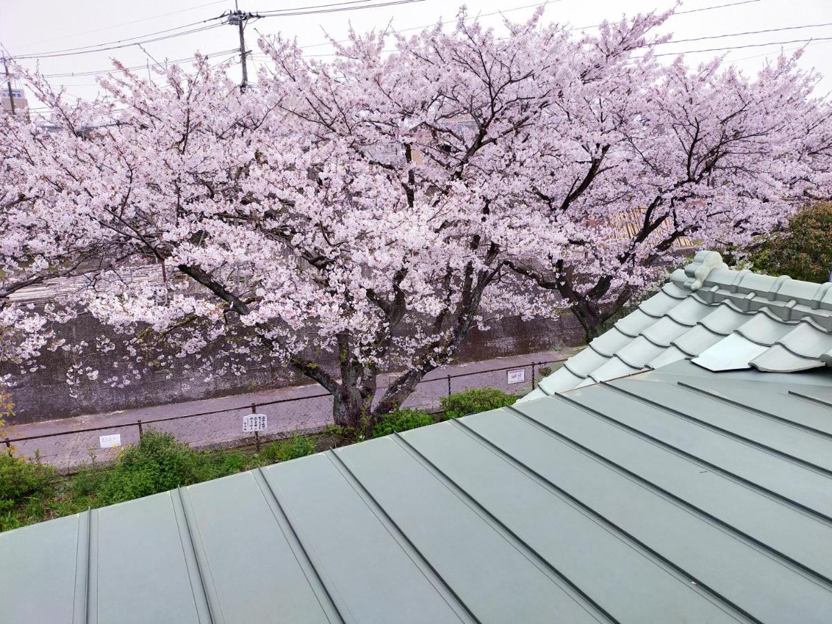 Guesthouse Sakichi Beppu Eksteriør bilde