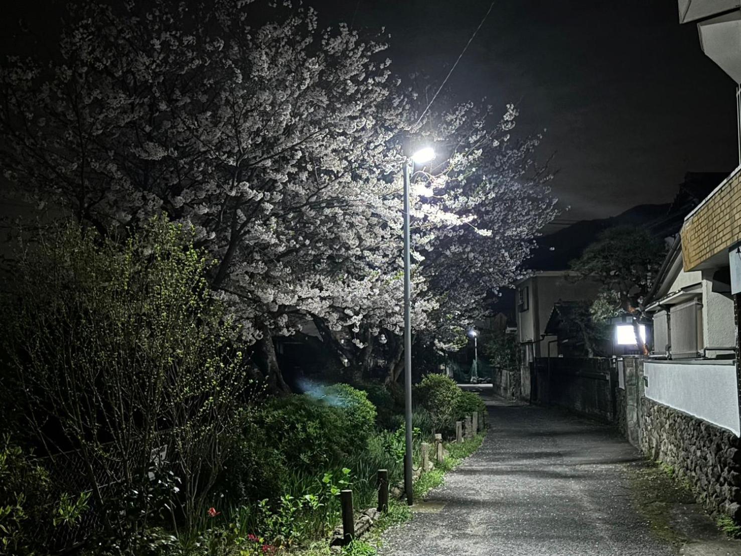 Guesthouse Sakichi Beppu Eksteriør bilde